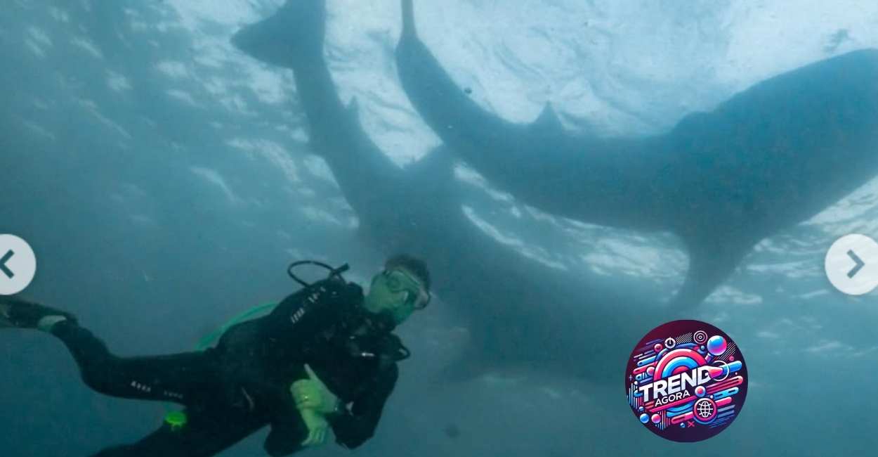 4_20250719_065022_0003