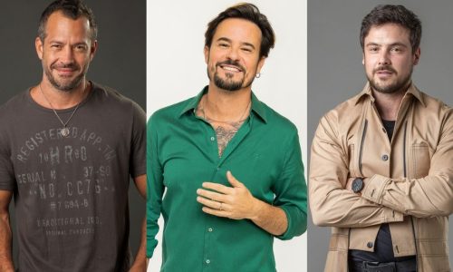 Nova Onda Capilar entre os Famosos: Desvendando os Segredos do Transplante que Combate a Calvície
